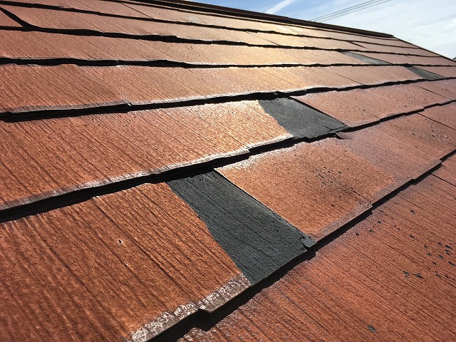 塗装は非推奨のパミール